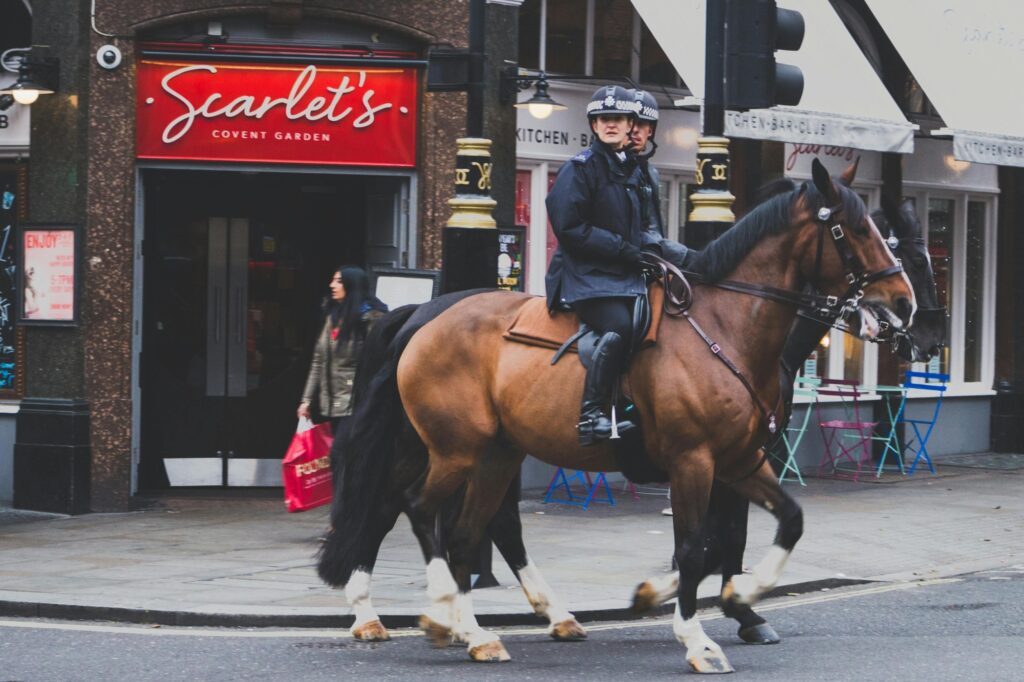 Mounted policemen in a shopping street