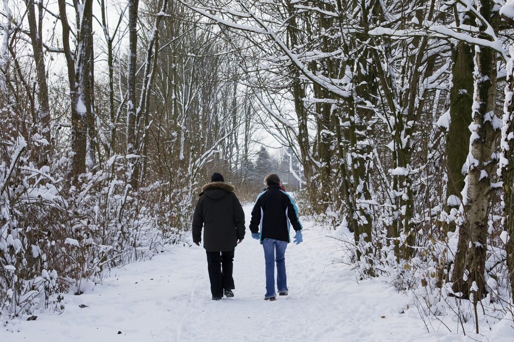 A couple is walking in the park in winter